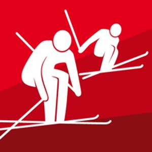 Skicross